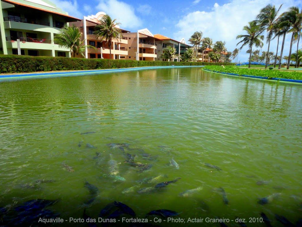 Aquaville